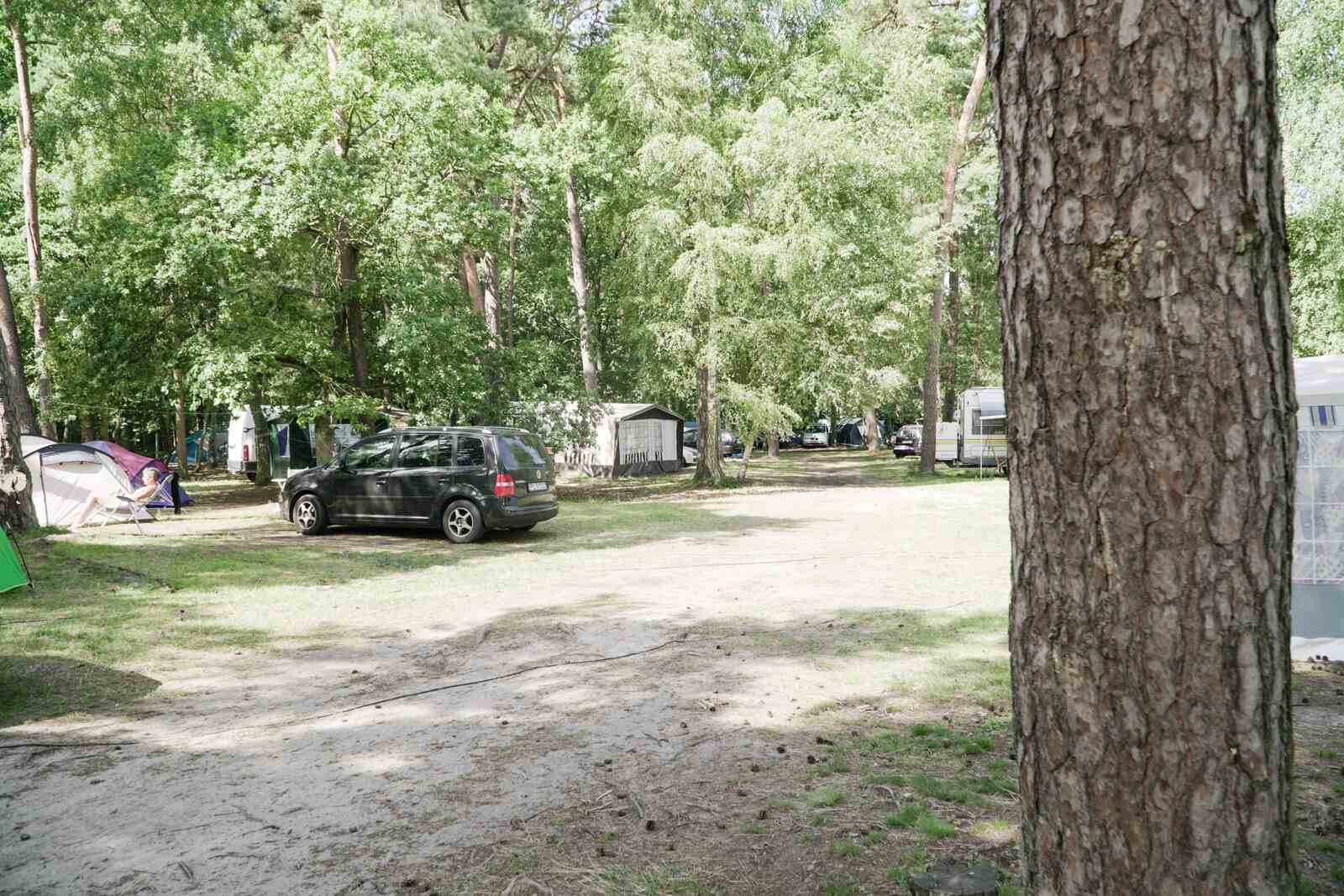 pole namiotowe