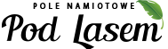 logo pole namiotowe pod lasem pustkowo
